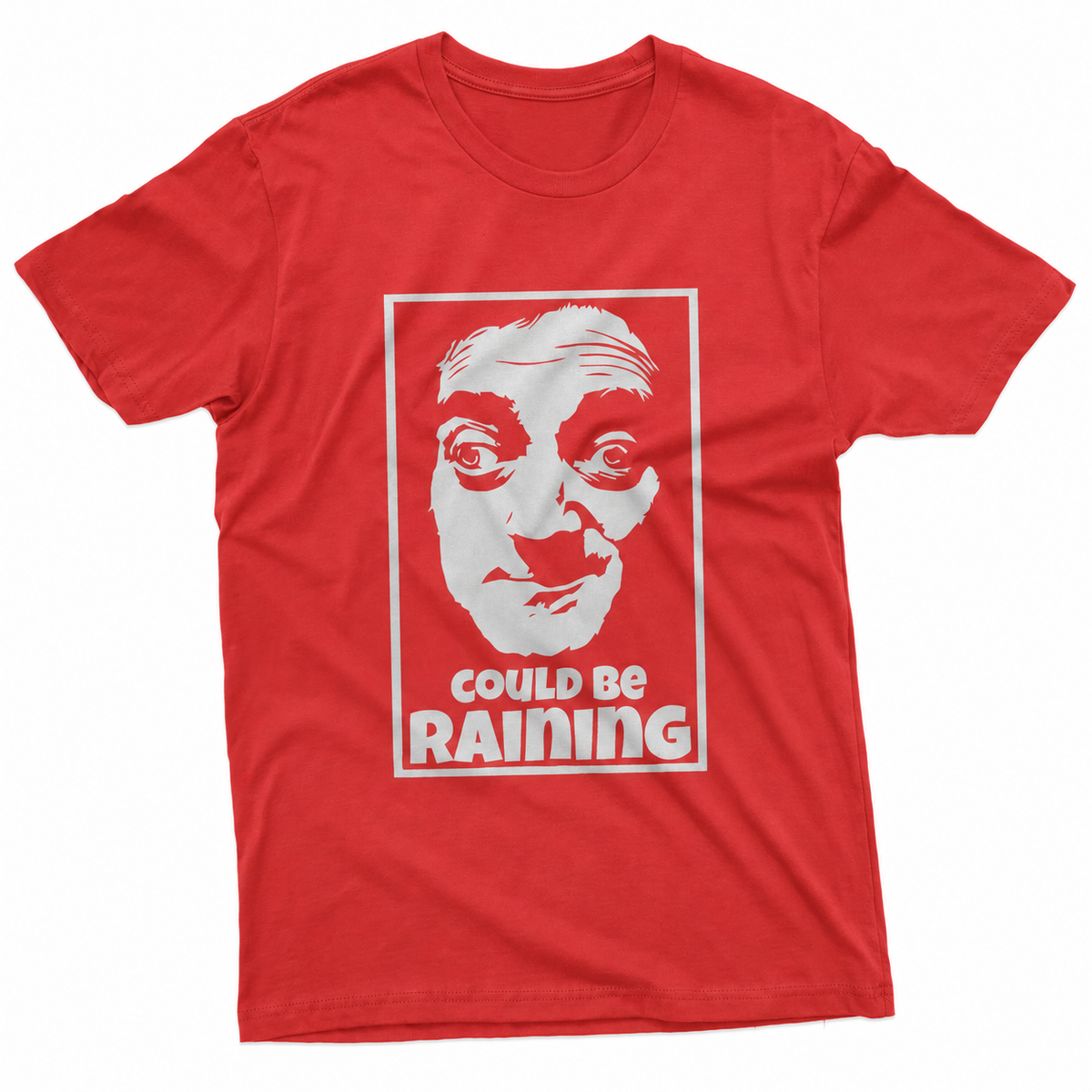 maglietta t-shirt- frankenstein igor potrebbe piovere