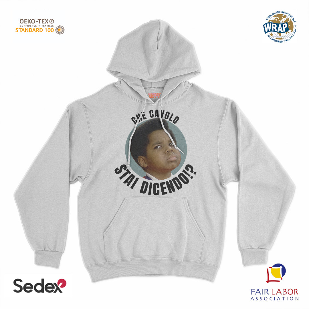 felpa_cappuccio cappuccio unisex- che cavolo stai dicendo