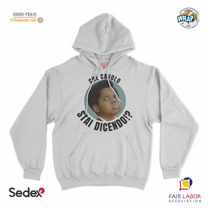 felpa_cappuccio cappuccio unisex- che cavolo stai dicendo