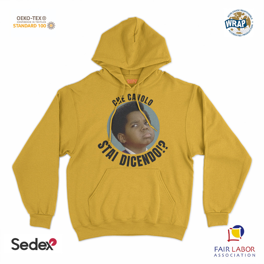 felpa_cappuccio cappuccio unisex- che cavolo stai dicendo
