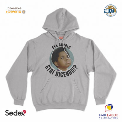 felpa_cappuccio cappuccio unisex- che cavolo stai dicendo