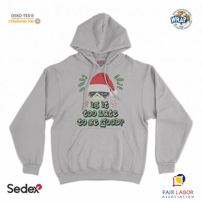 felpa_cappuccio cappuccio unisex- is it too late to be good