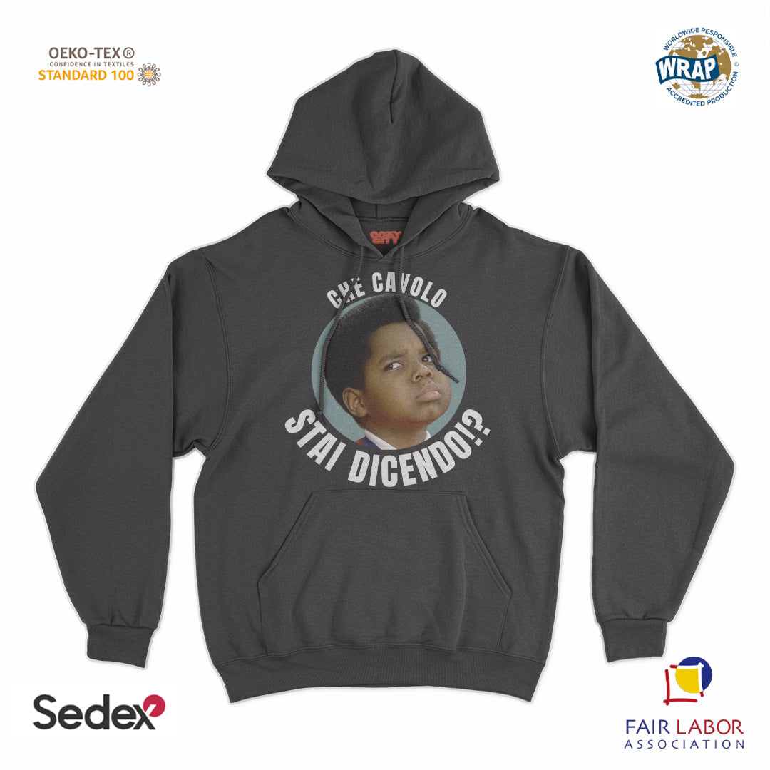 felpa_cappuccio cappuccio unisex- che cavolo stai dicendo