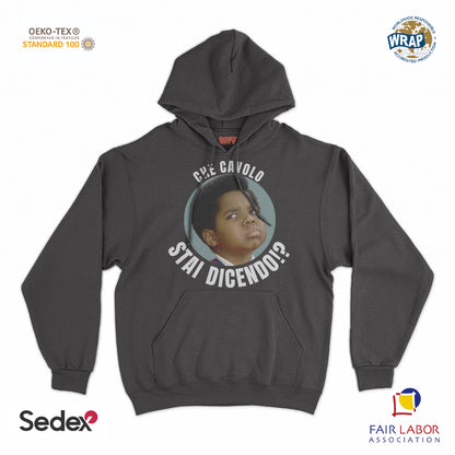 felpa_cappuccio cappuccio unisex- che cavolo stai dicendo