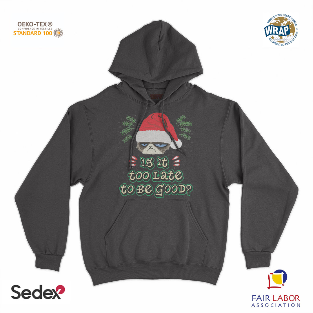 felpa_cappuccio cappuccio unisex- is it too late to be good