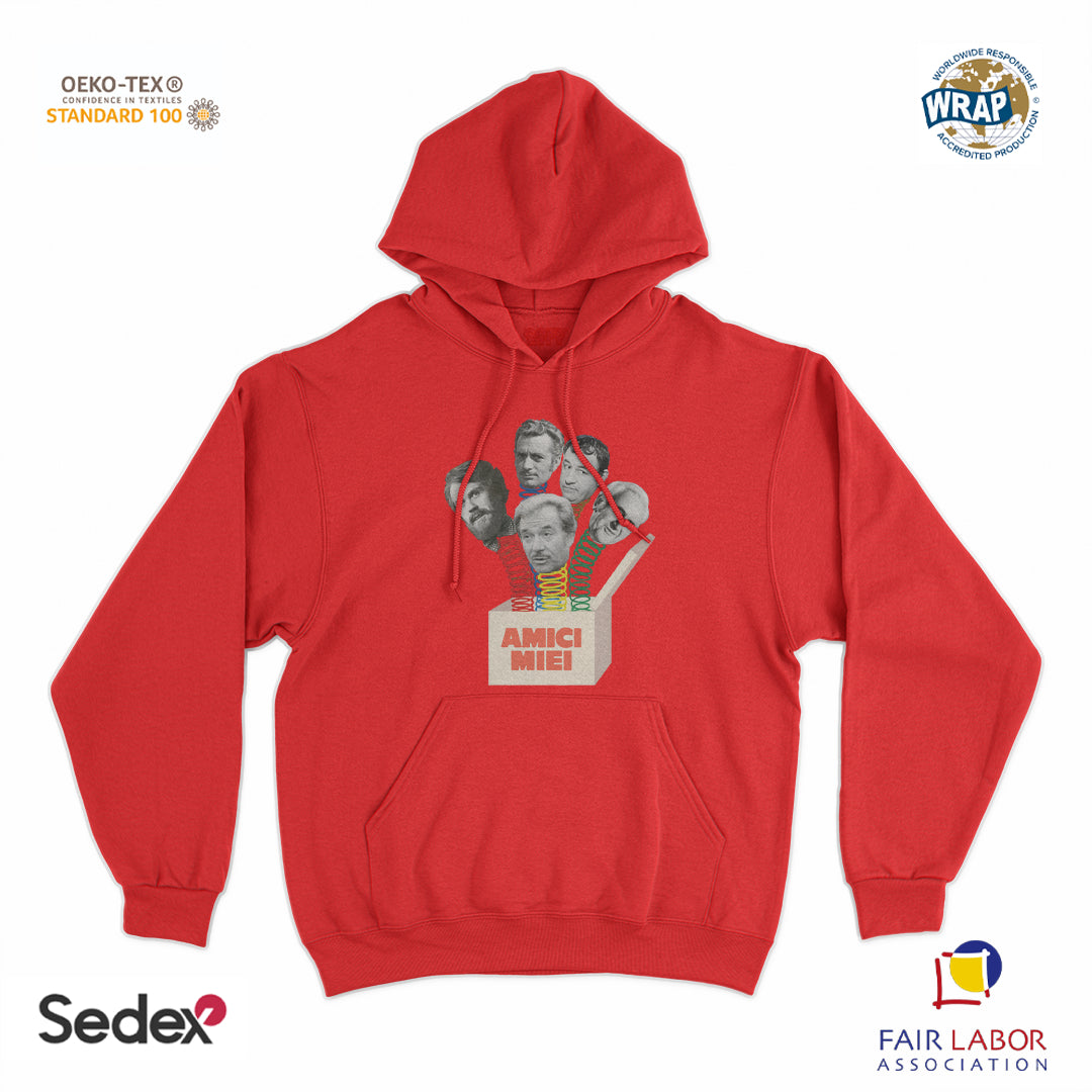 felpa_cappuccio cappuccio unisex- amici miei scatola