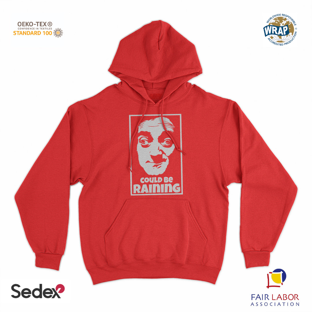 felpa_cappuccio cappuccio unisex- frankenstein igor potrebbe piovere