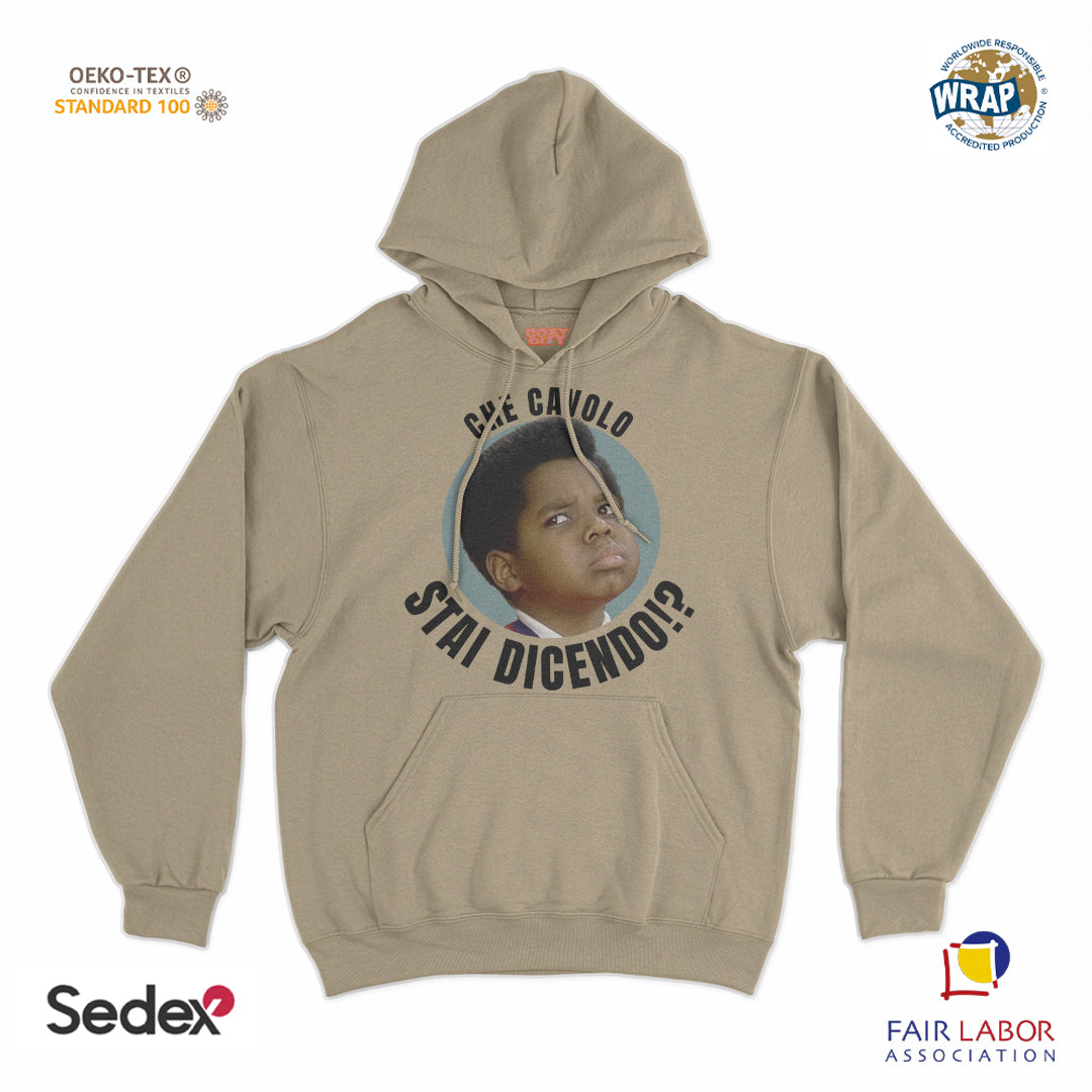felpa_cappuccio cappuccio unisex- che cavolo stai dicendo