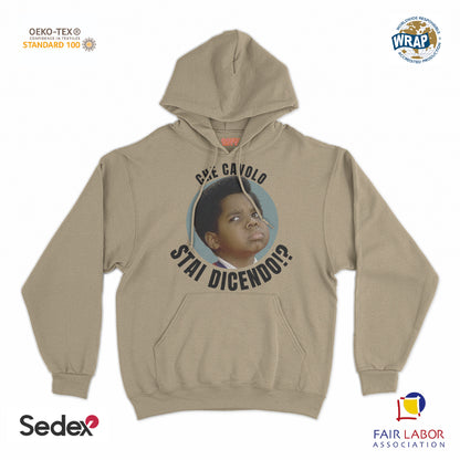 felpa_cappuccio cappuccio unisex- che cavolo stai dicendo